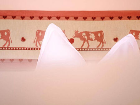 Bed decorated with cows.