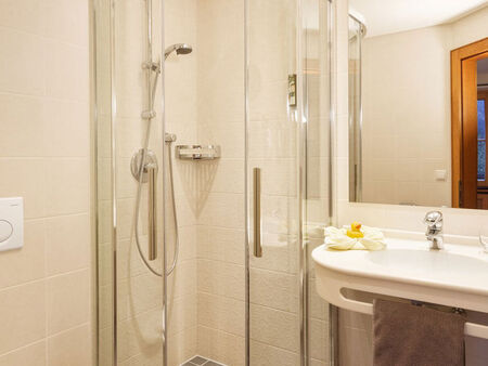 A shower in the corner of the room and a sink