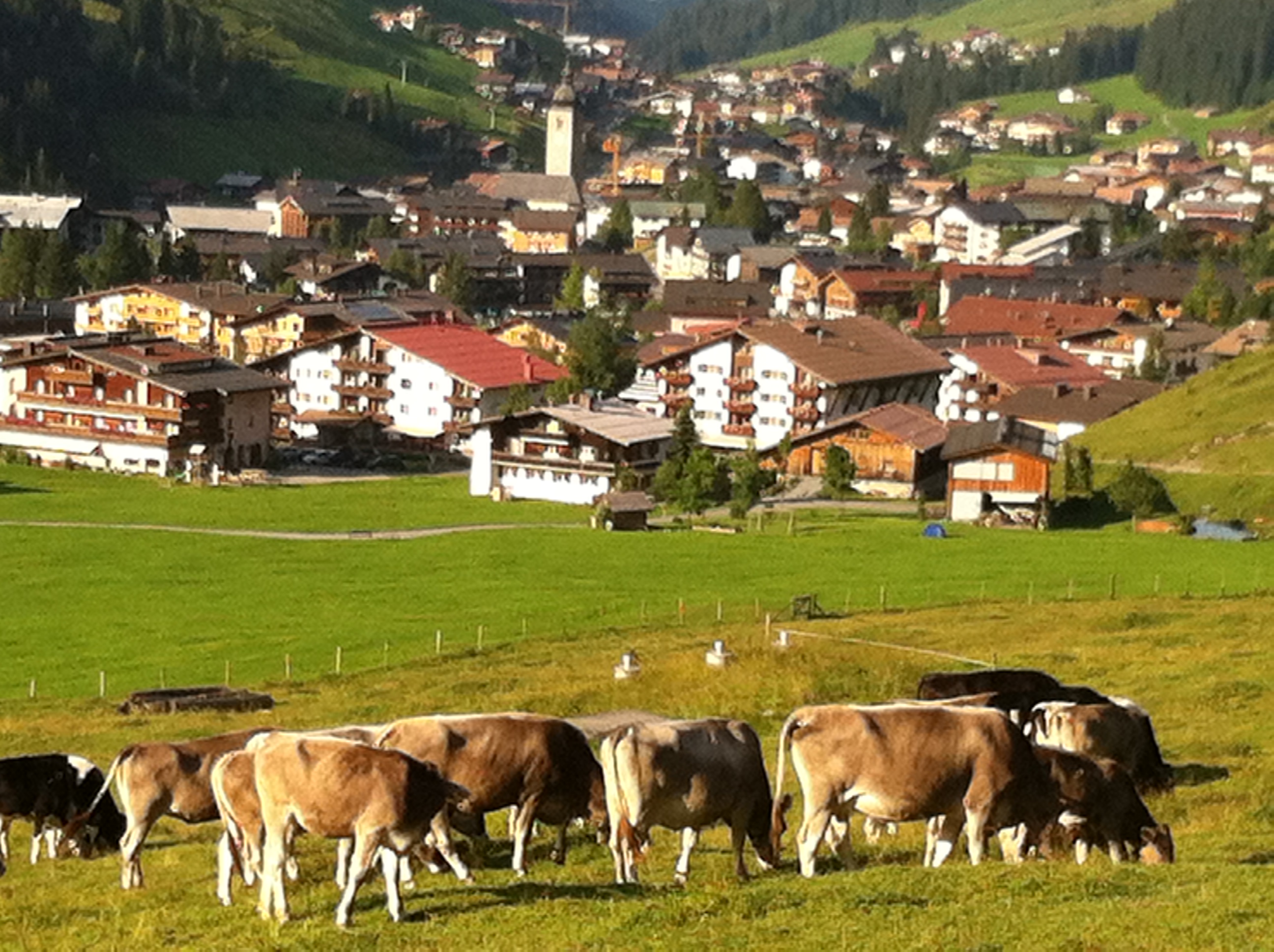 Die Natur in Lech am Arlberg
