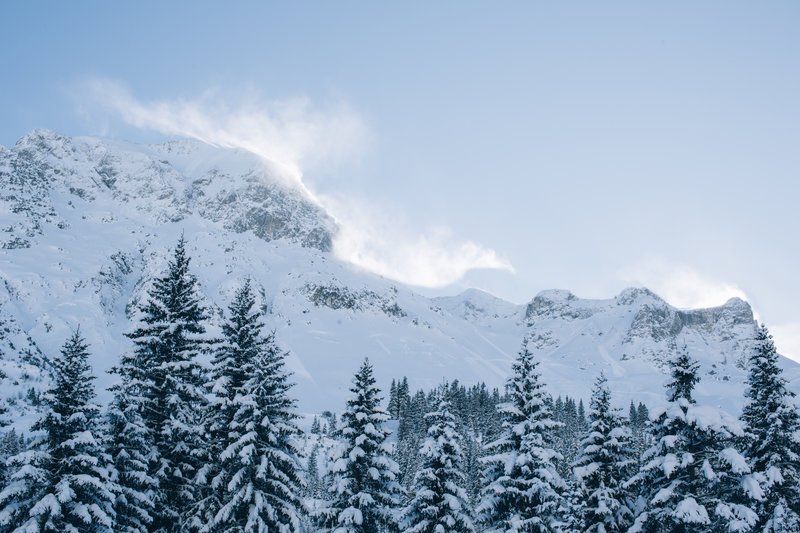Berge mit Wald und Schnee Lech Zürs
