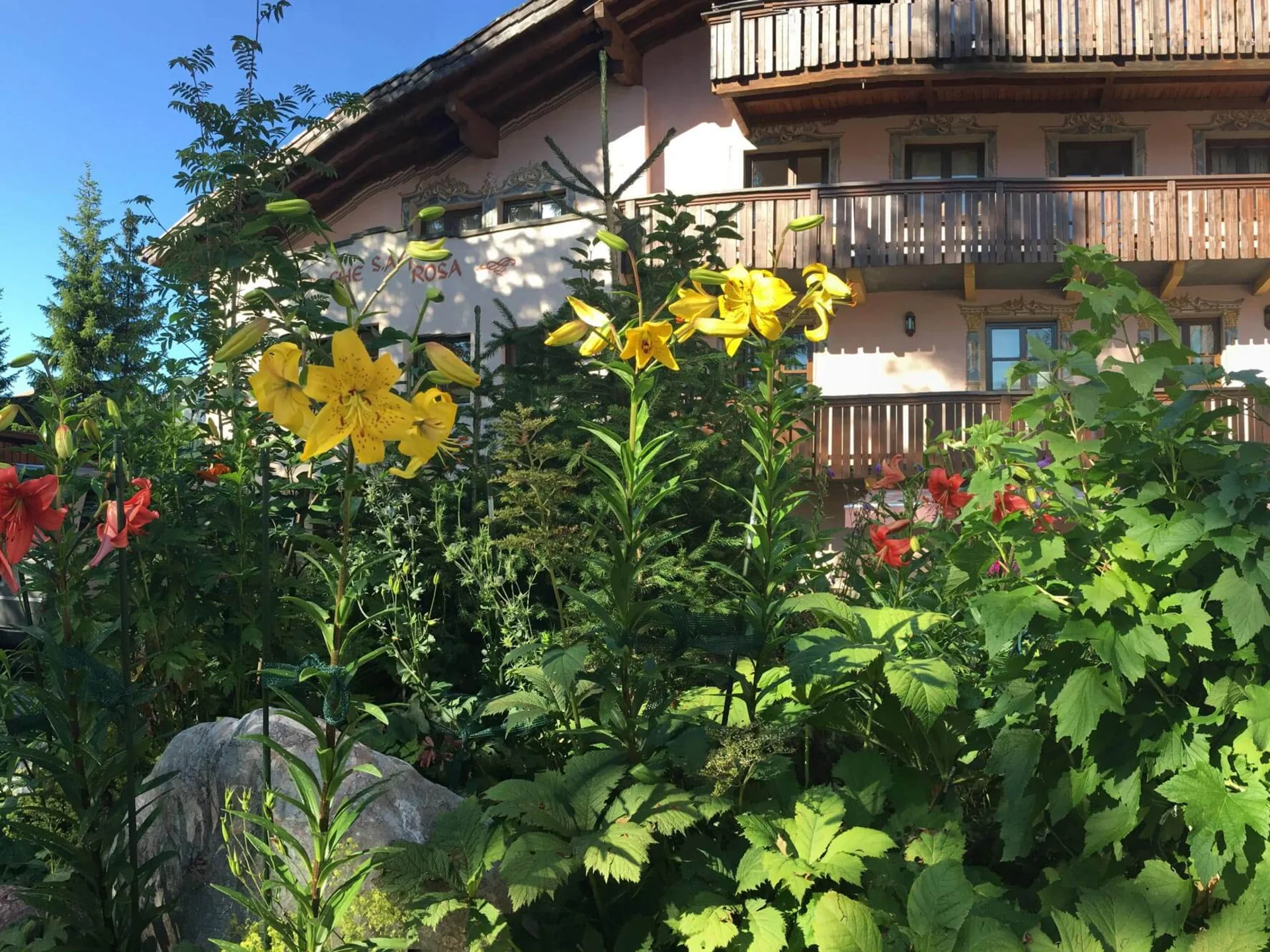 A b'sundrigs Plätzle | Bilder & Momente - Hotel Lech