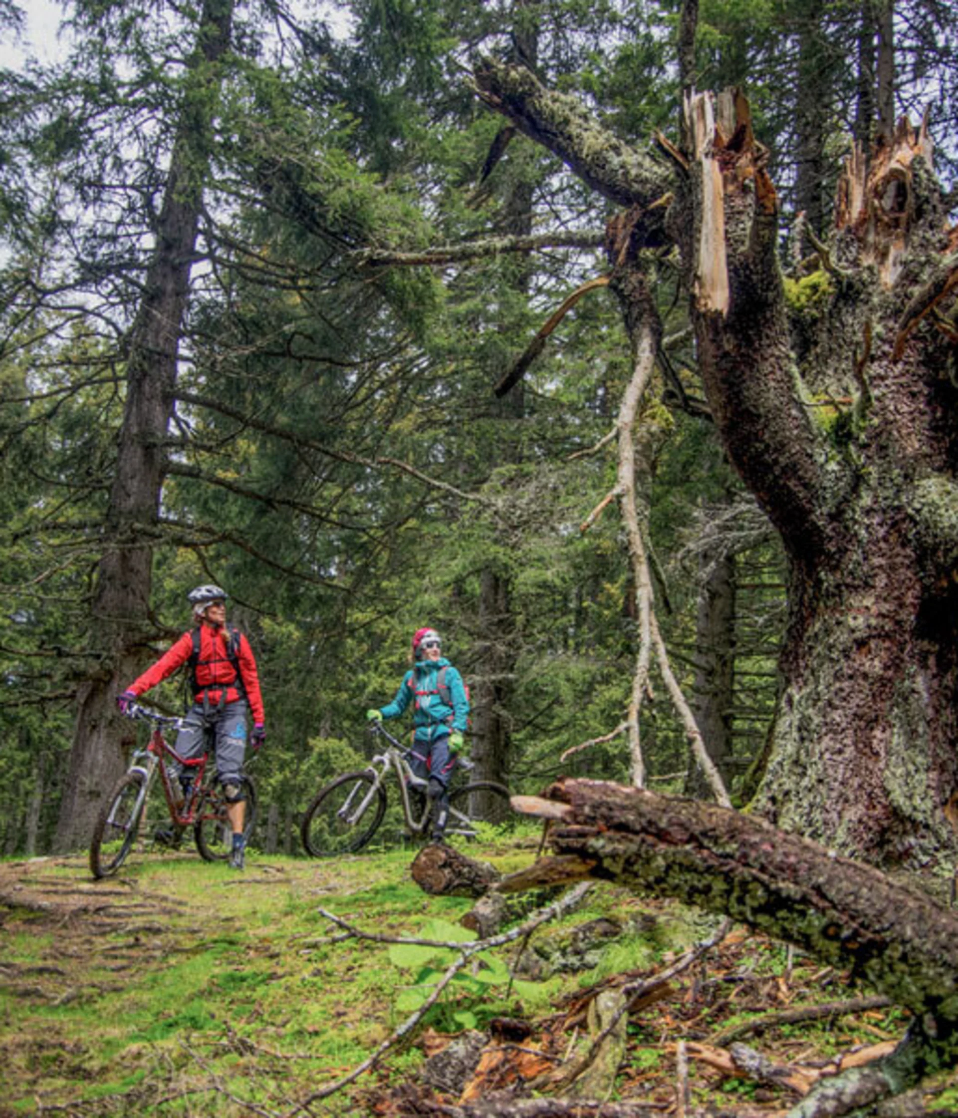 Bike Hotel Arlberg | Hotel Lech: wo das Radgen zu Hause ist Bike Hotel Arlberg | Hotel Lech: wo das Radgen zu Hause ist