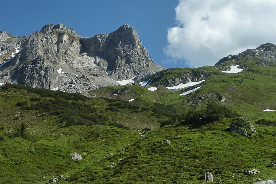 Berg Madloch Joch im Sommer